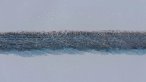 Forest strip protecting the field from soil erosion Video stock 148944693