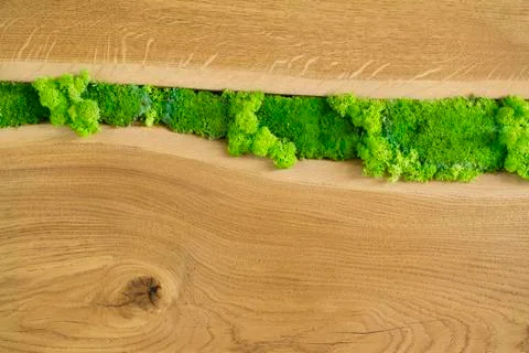 Forest-style table decoration. Stock Photos