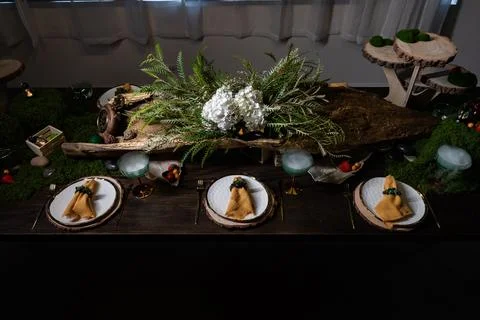 Forest style table setting using moss and green leaves Stock Photos