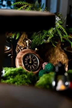 Forest style table setting using moss and green leaves Foto stock
