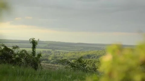 Forest summer evening landscape with blurry background from the mountain Stock Footage 132268797