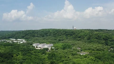 The forest in summer Stock-Footage 200154396