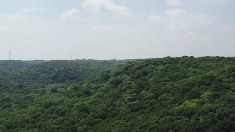 The forest in summer Stock Footage 200154420