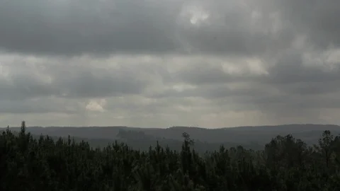 Forest Sun Rays in early winter time-lapse 스톡 동영상 112664557
