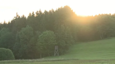 Forest Sundown Stock Footage 22222714