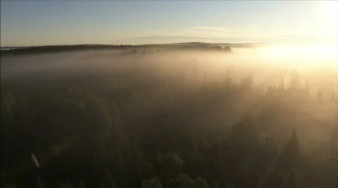 Forest sunrise Stock Footage 480154