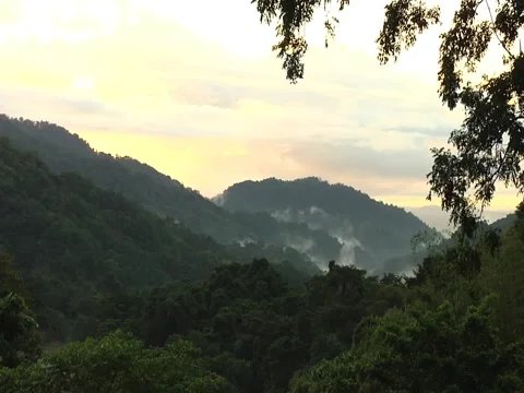 Forest Sunrise Time lapse2 Video stock 2110822