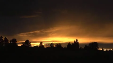 Forest sunset 001 by dwking Stock-Footage 11240437