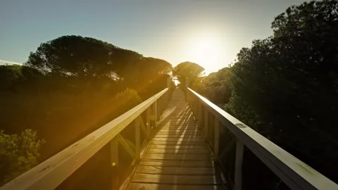 FOREST SUNSET 4K Stock Footage 275340758