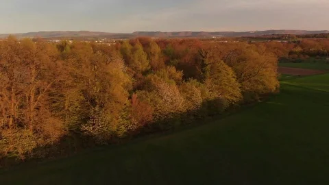 Forest Sunset Aerial Drone Flyover Germany Stock Footage 100478433