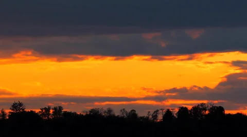 Forest Sunset Stock Footage 36020043