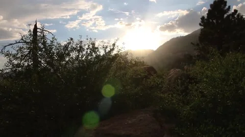 Forest at Sunset Stock Footage 54675326