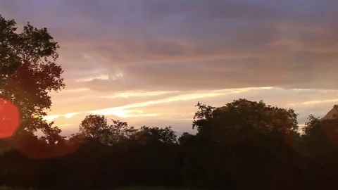 Forest sunset Stock Footage 77048930