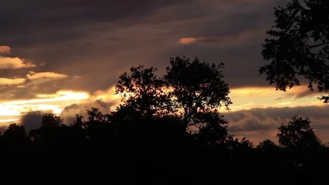 Forest sunset Stock Footage 77048943