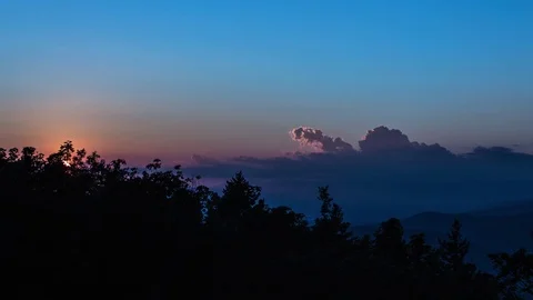 Forest at sunset Stock Footage 77925652