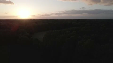 Forest with Sunset Stock Footage 194422636