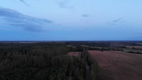 Forest in the sunset light. Stock Footage 117130122