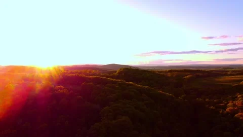 Forest Sunset Pan Stock Footage 240518231
