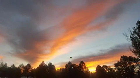 Forest Sunset Stock Photos