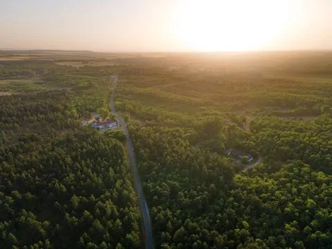 Forest sunset Stock Photos