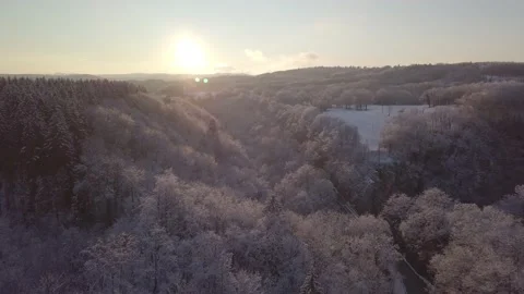 Forest sunset snow bridge 01 Stock Footage 146357552