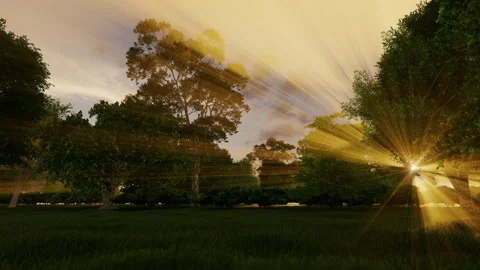 Forest at sunset, sunrays breaking through the trees, 4K 動画素材 162247849