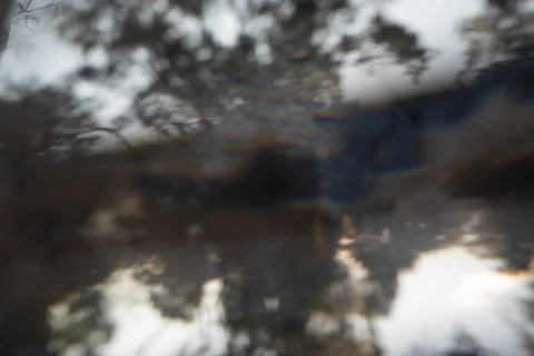 Forest Sunset Timelapse with Abstract Prism Reflection Effect  6k Stock Footage 180306749