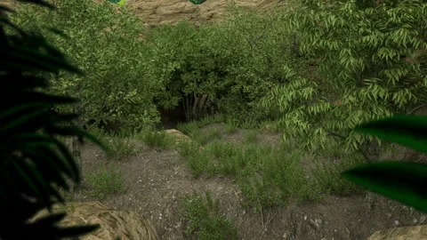 Forest surrounded by rocks. Trees and bushes Stock Footage 151989325