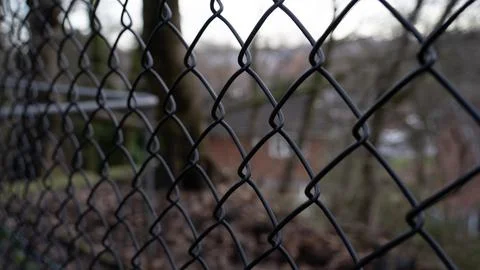 Forest surrounded by wire mesh. forest in autumn Stock Photos
