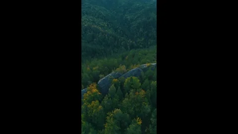 Forest surrounding Huge boulder Video stock 317262691