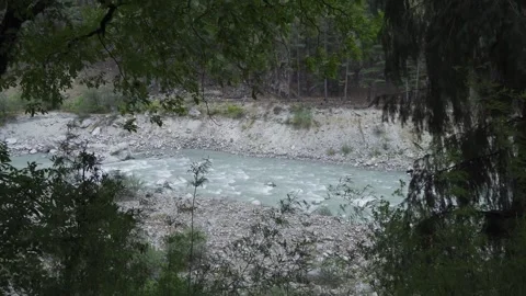 A forest surrounds a river with hanging branches creating a fairytale landscape Video stock 280267561