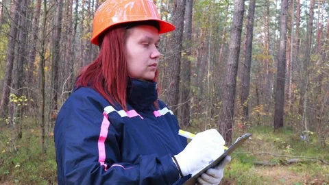 Forest surveyor taking notes in a vibrant autumn woodland setting Stock Footage 295247449