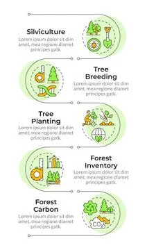 Forest sustainability infographic vertical sequence Stock Illustration