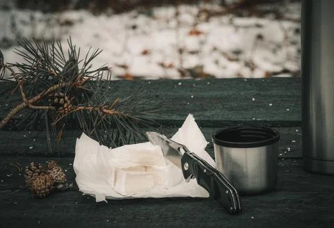 Forest on the table cheese, thermos with a cup Stock Photos