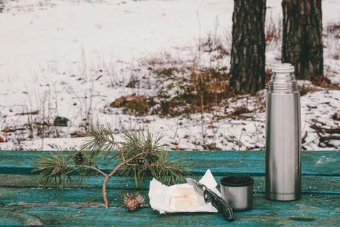 Forest on the table cheese, thermos with a cup Stock Photos