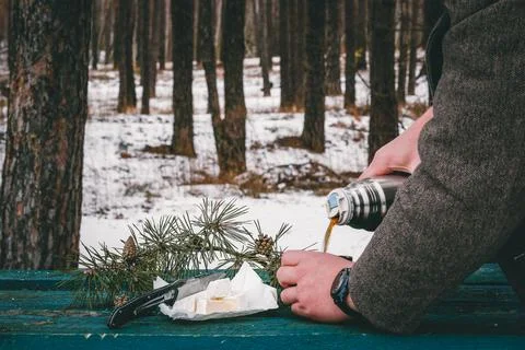 Forest on the table cheese, thermos with a cup Stock Photos