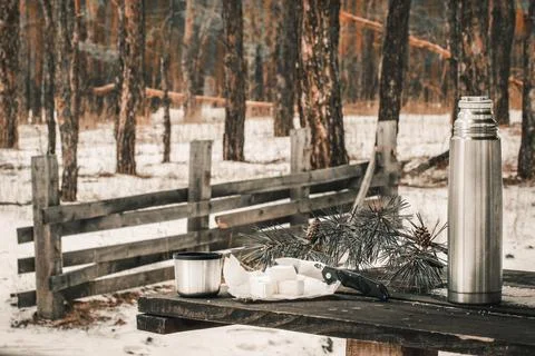 Forest on the table cheese, thermos with a cup Stock Photos
