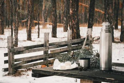 Forest on the table cheese, thermos with a cup Stock Photos