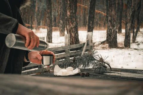 Forest on the table cheese, thermos with a cup Stock Photos