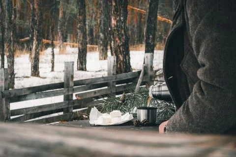 Forest on the table cheese, thermos with a cup Stock Photos