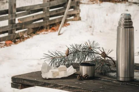 Forest on the table cheese, thermos with a cup Stock Photos