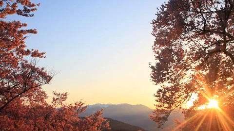 The Forest of Takato Cherry Blossoms, Mount Kiso Komagatake, and the Rays of the Vídeos de archivo 330312811