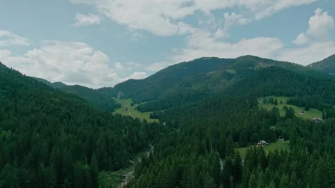 Forest of tarvisio, drone shot, long shot Stock Footage 274649431