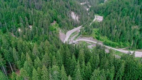Forest of tarvisio, drone shot over the valley Stock Footage 274650570