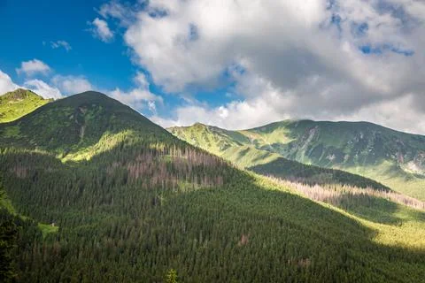 Forest in Tatra mountains, view from cable car, Poland Stock Photos