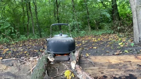 Forest tea on a log Stock Footage 252077825