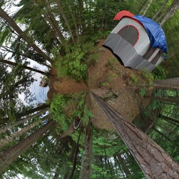 Forest tent camping Stock Photos