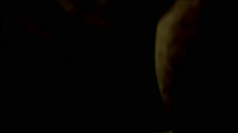 Forest Text Animation Stock Footage 66112861