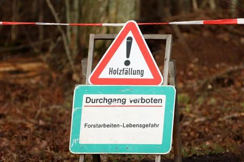 Forest. Text in German: Logging. Acces denied. Forestry work - danger to life. Stock Photos