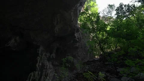 Forest to Tham Heup Cave Stock Footage 333266660